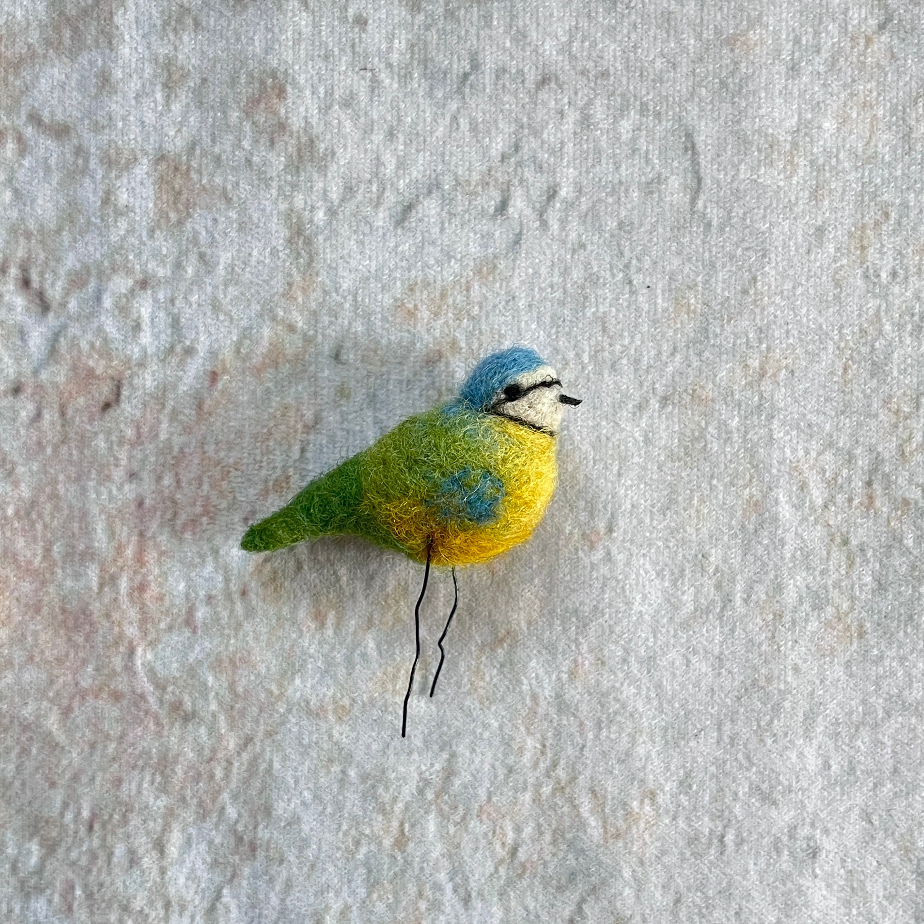 Blaumeise mini