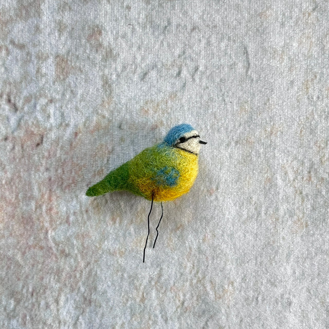 Blaumeise mini