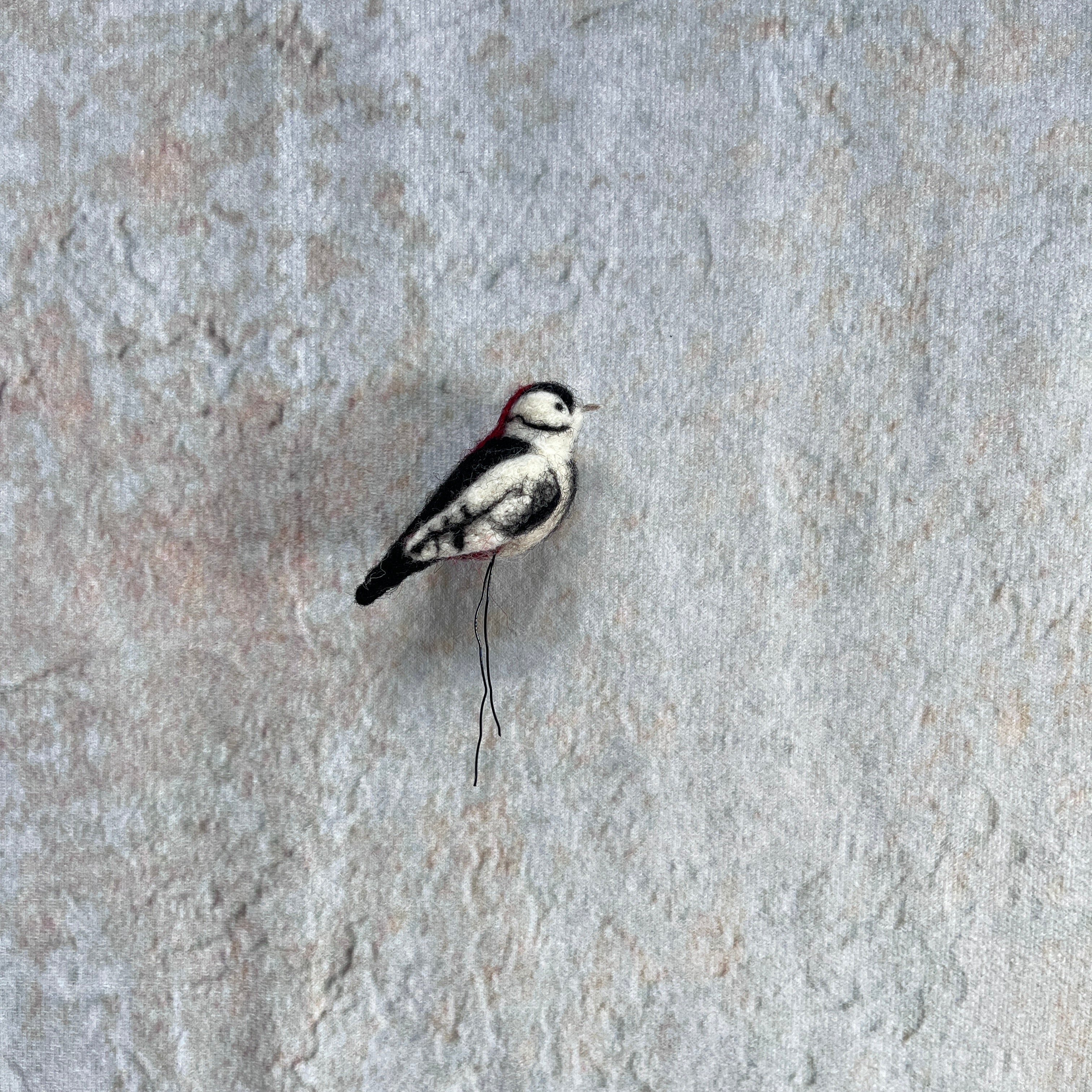 Buntspecht mini