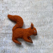 Eichhörnchen