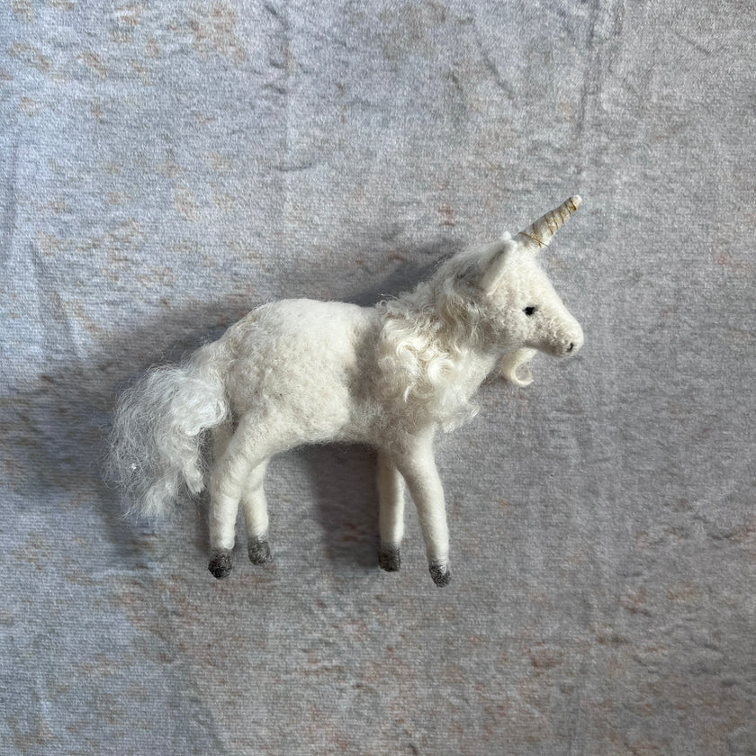 Einhorn | Fohlen