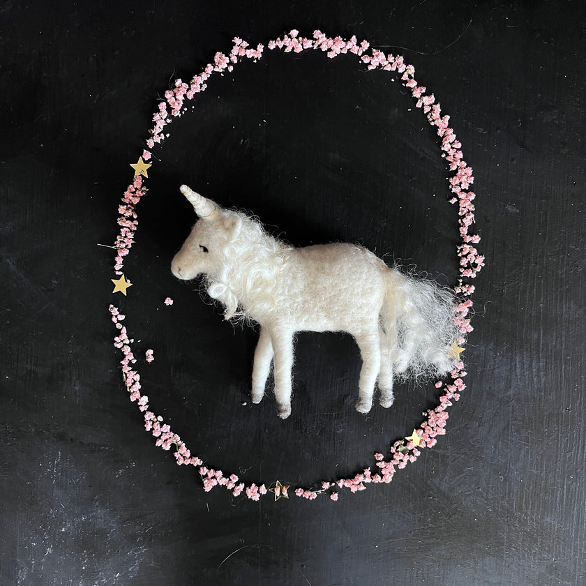 Einhorn | Fohlen