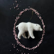 Eisbär