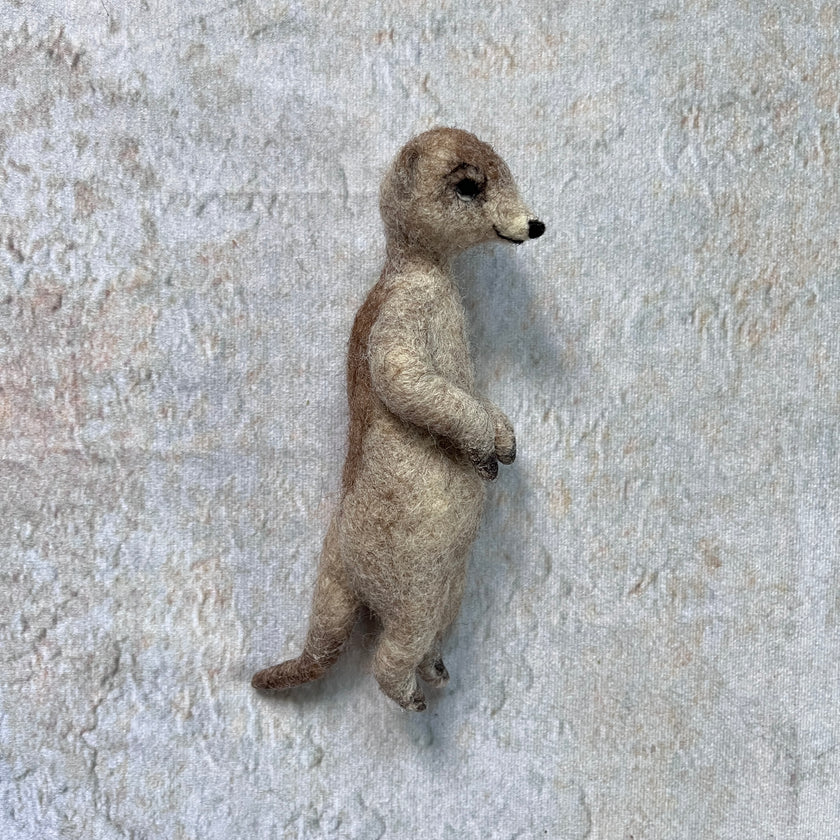 Erdmännchen