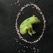 Froschkönig