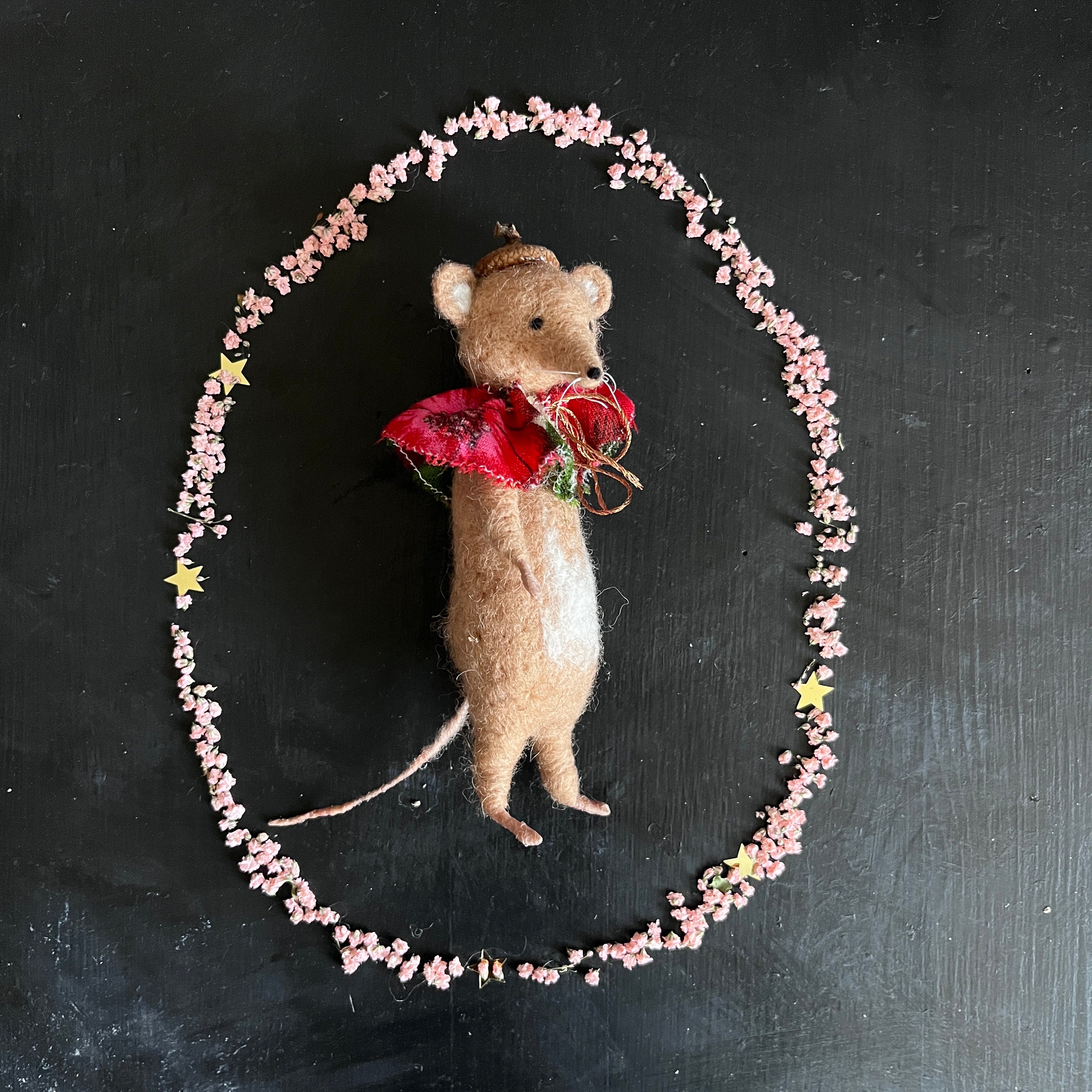 Maus mit Kragen