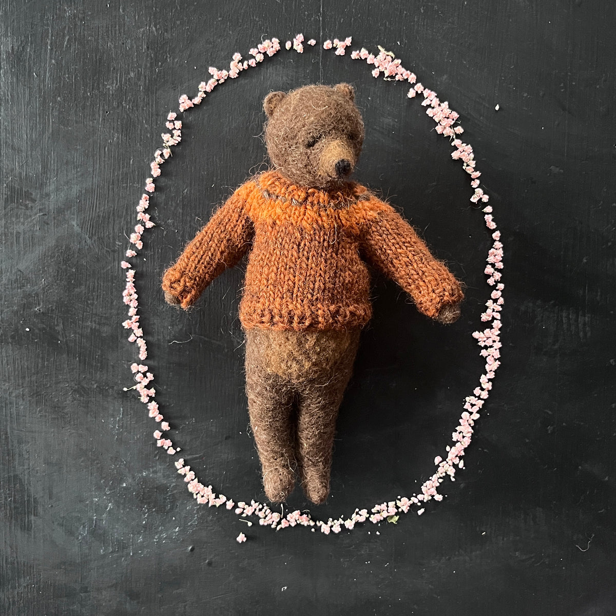 Teddy im rostbraunen Pullover