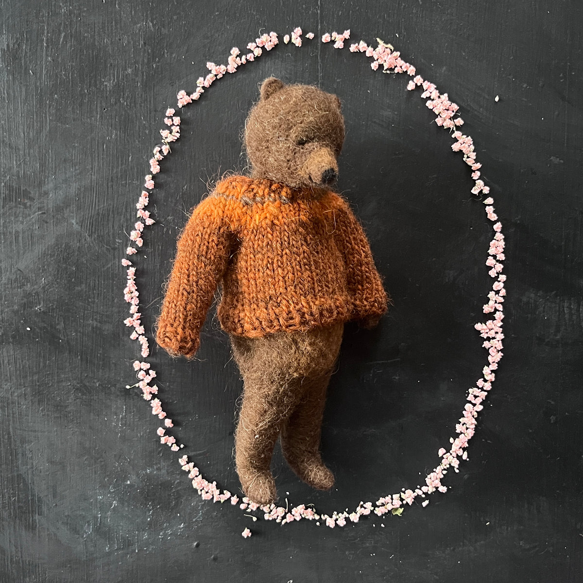 Teddy im rostbraunen Pullover