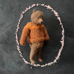 Teddy im rostbraunen Pullover