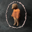 Teddy im rostbraunen Pullover