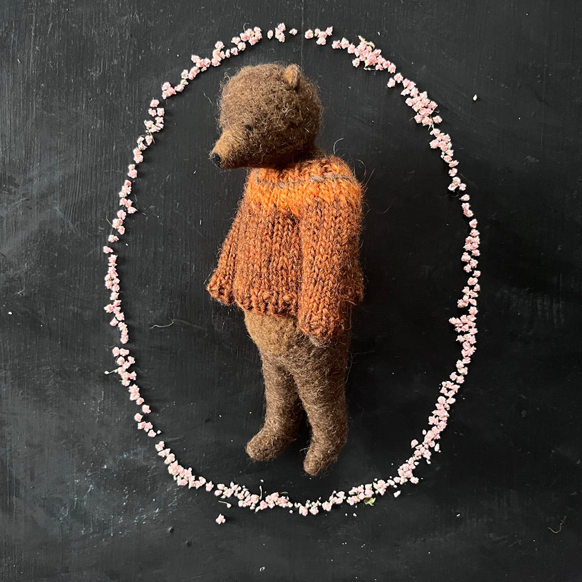 Teddy im rostbraunen Pullover