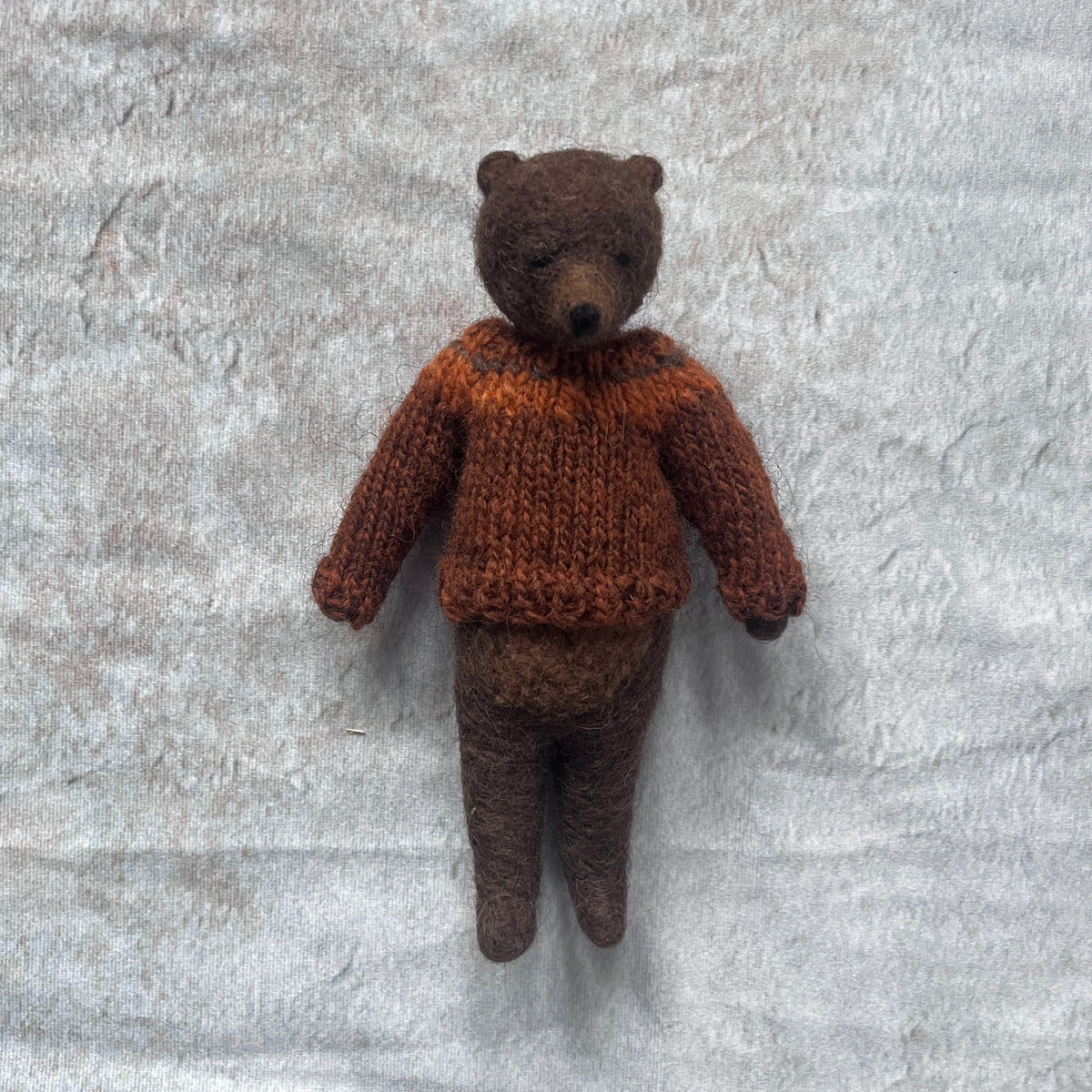 Teddy im rostbraunen Pullover