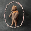 Teddy im kastanienbraunen Pullover
