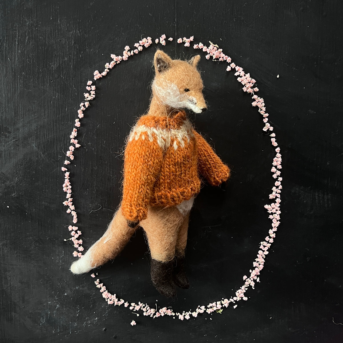 Fuchs mit Pullover