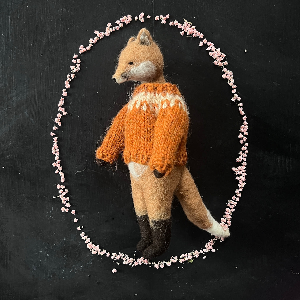 Fuchs mit Pullover