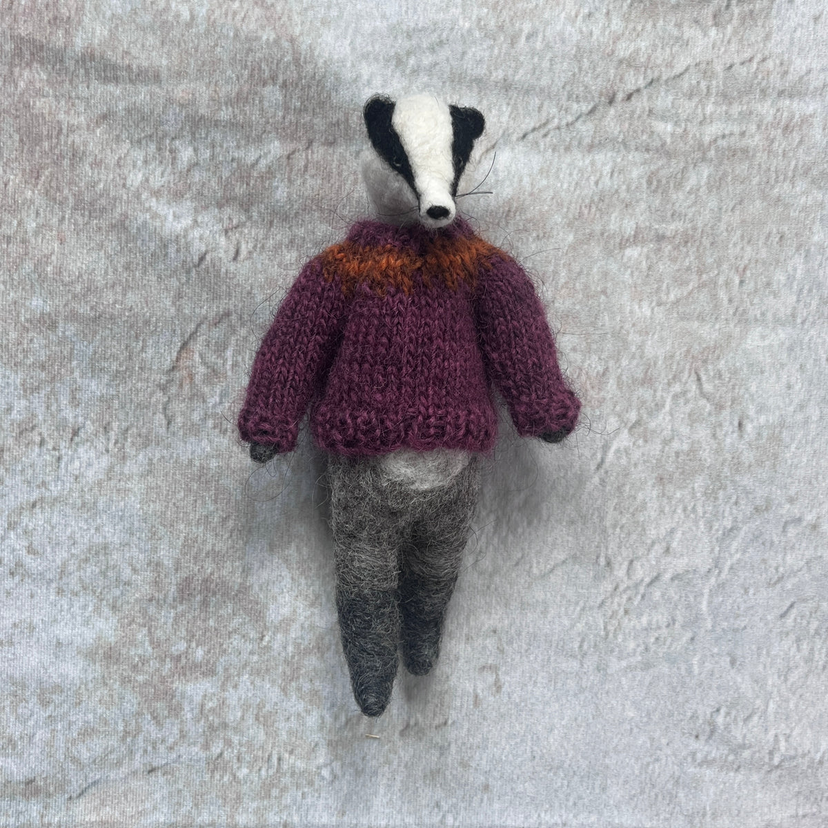Dachs mit Pullover
