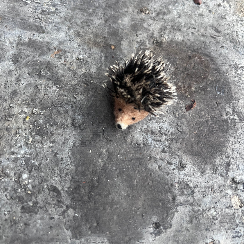 Igel mini