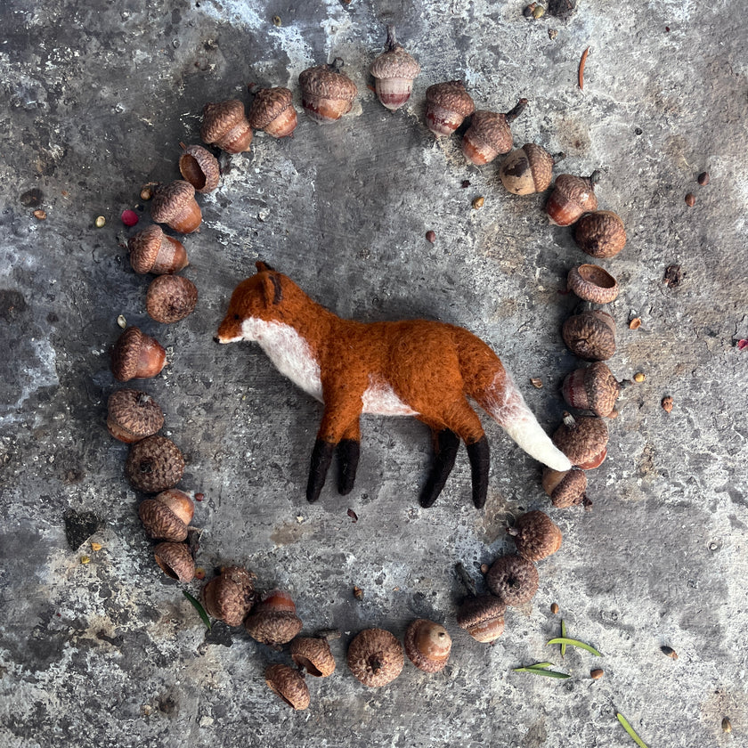 kleiner Fuchs