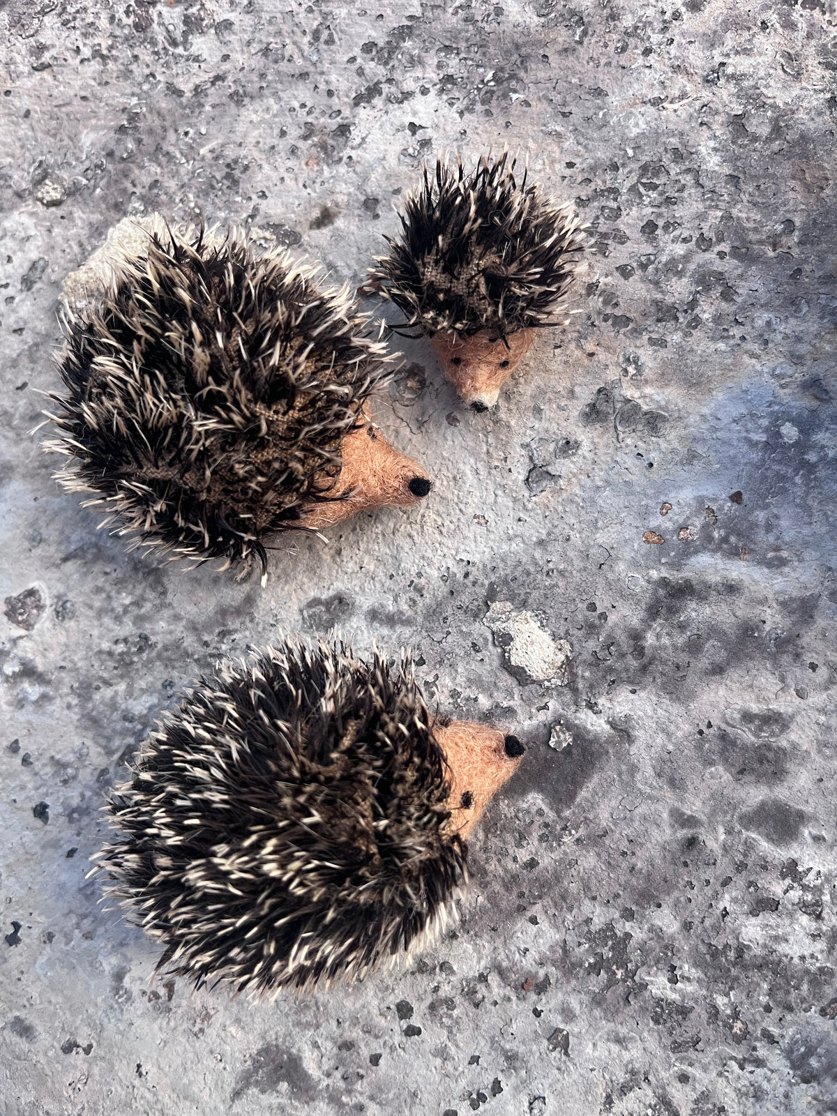 Igel mini