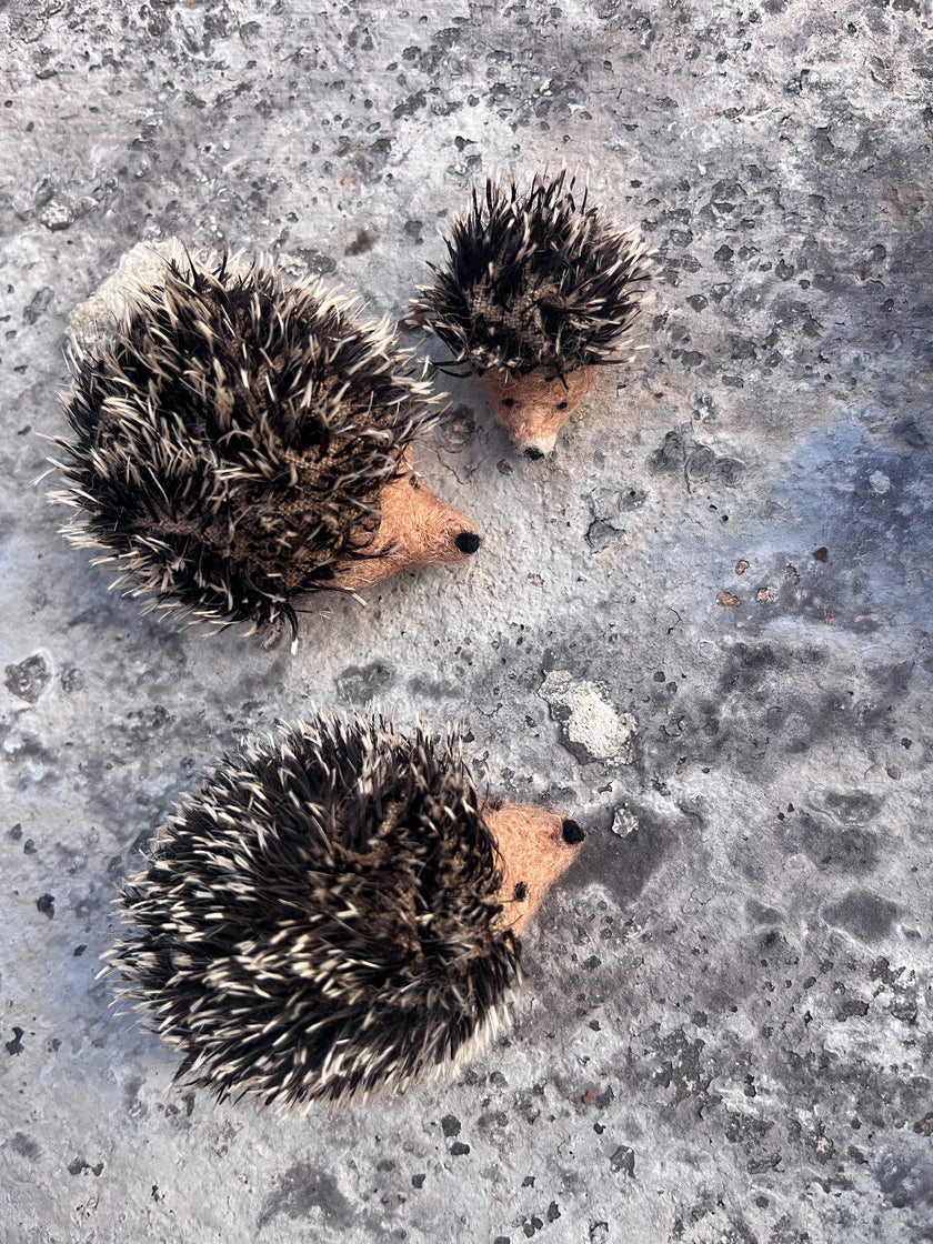 Igel mini