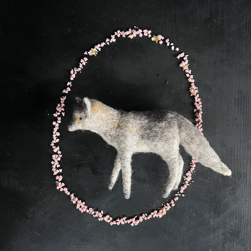 Wolf