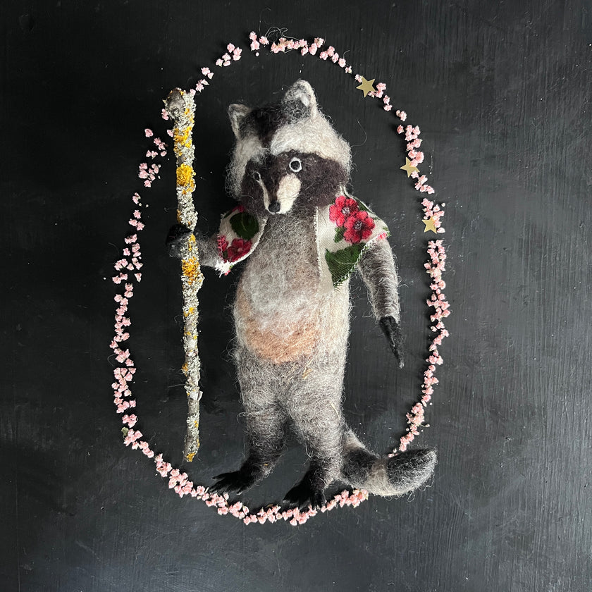 Waschbär
