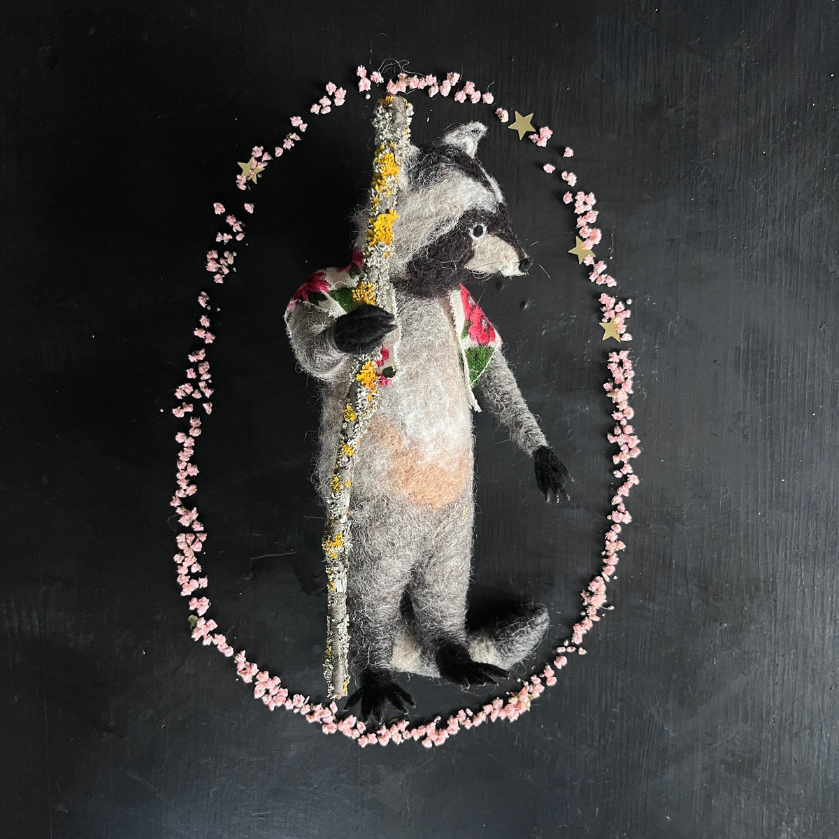 Waschbär