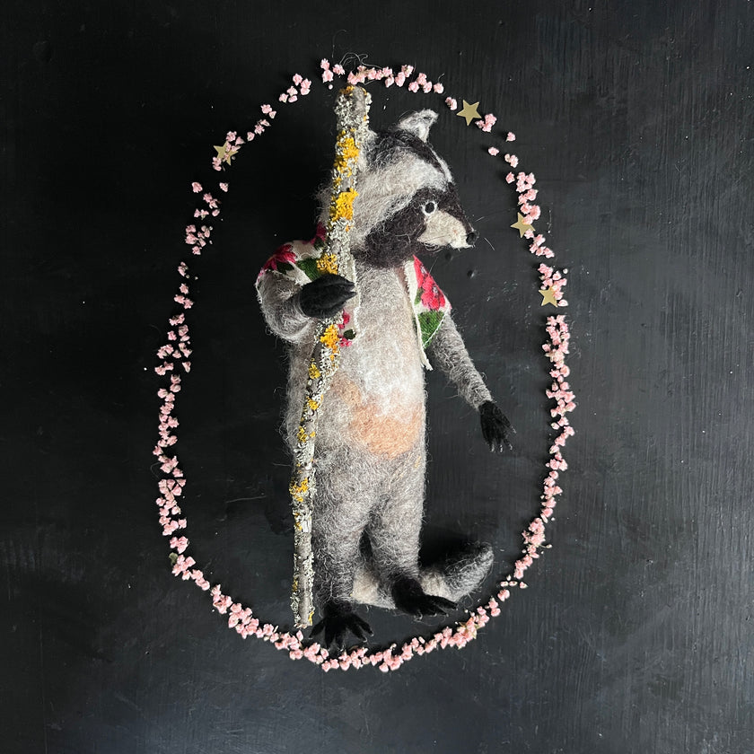 Waschbär