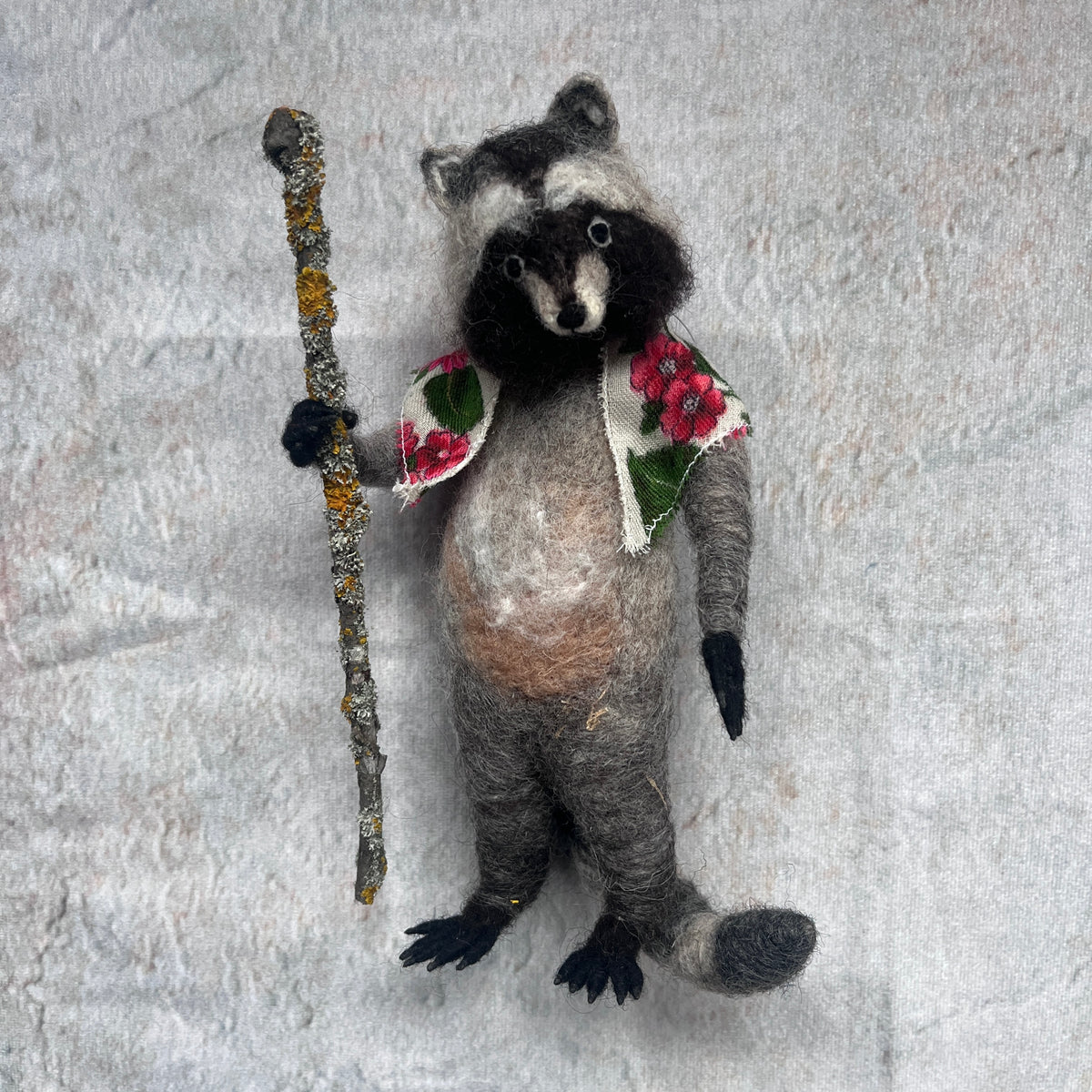Waschbär