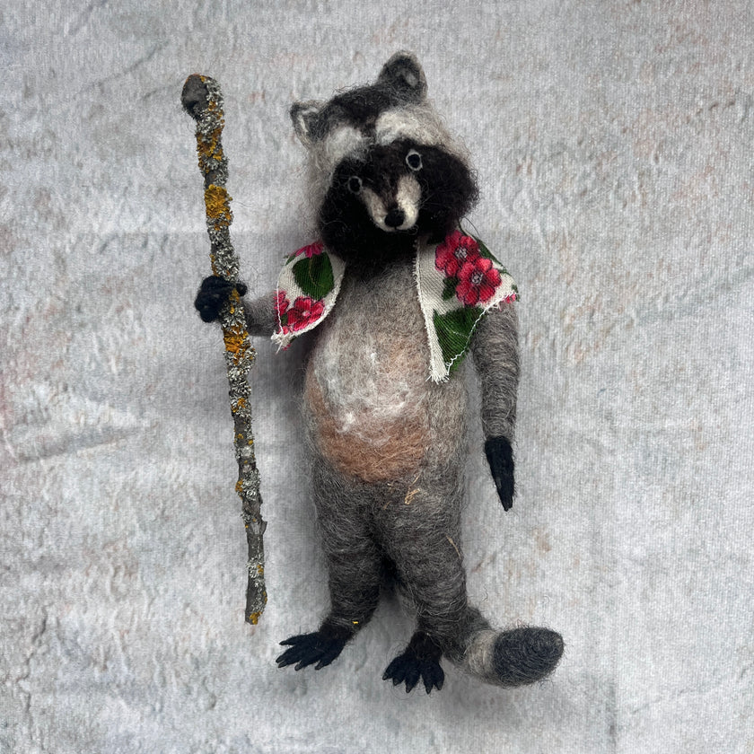 Waschbär