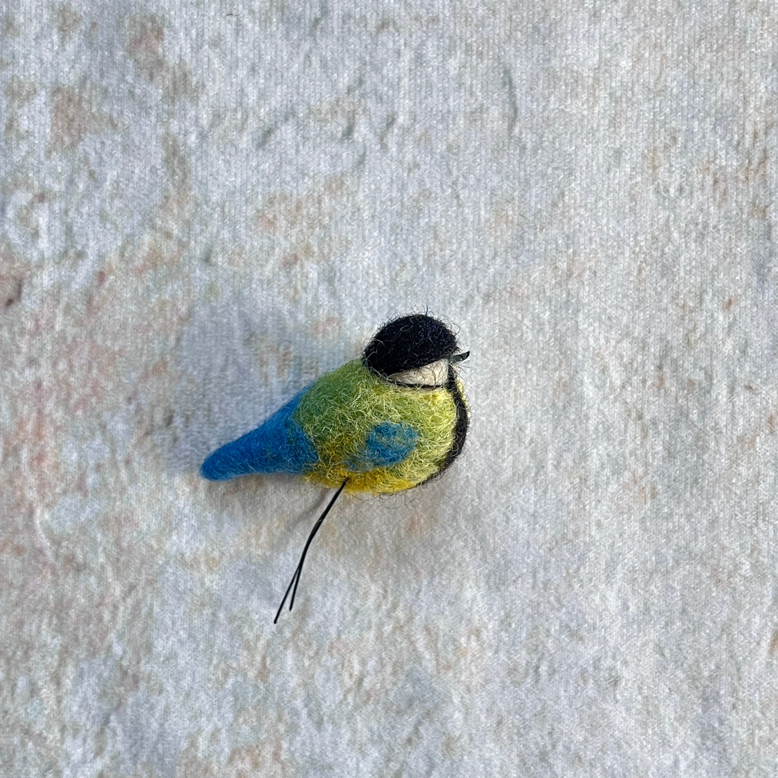 Kohlmeise mini