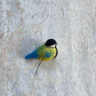 Kohlmeise mini