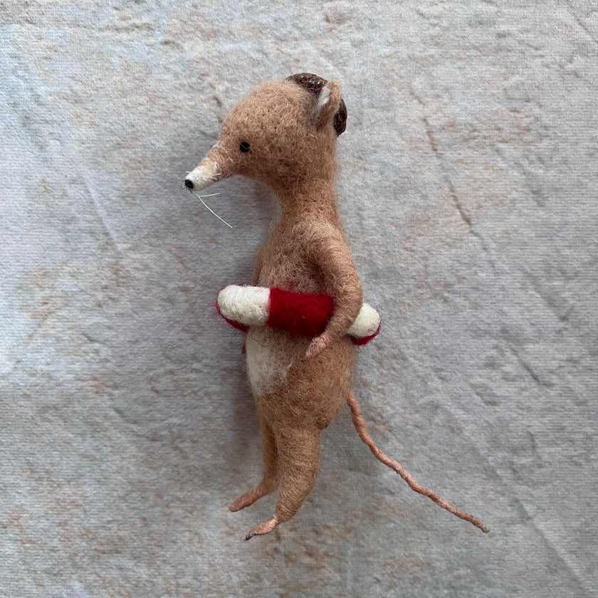Maus mit Schwimmring