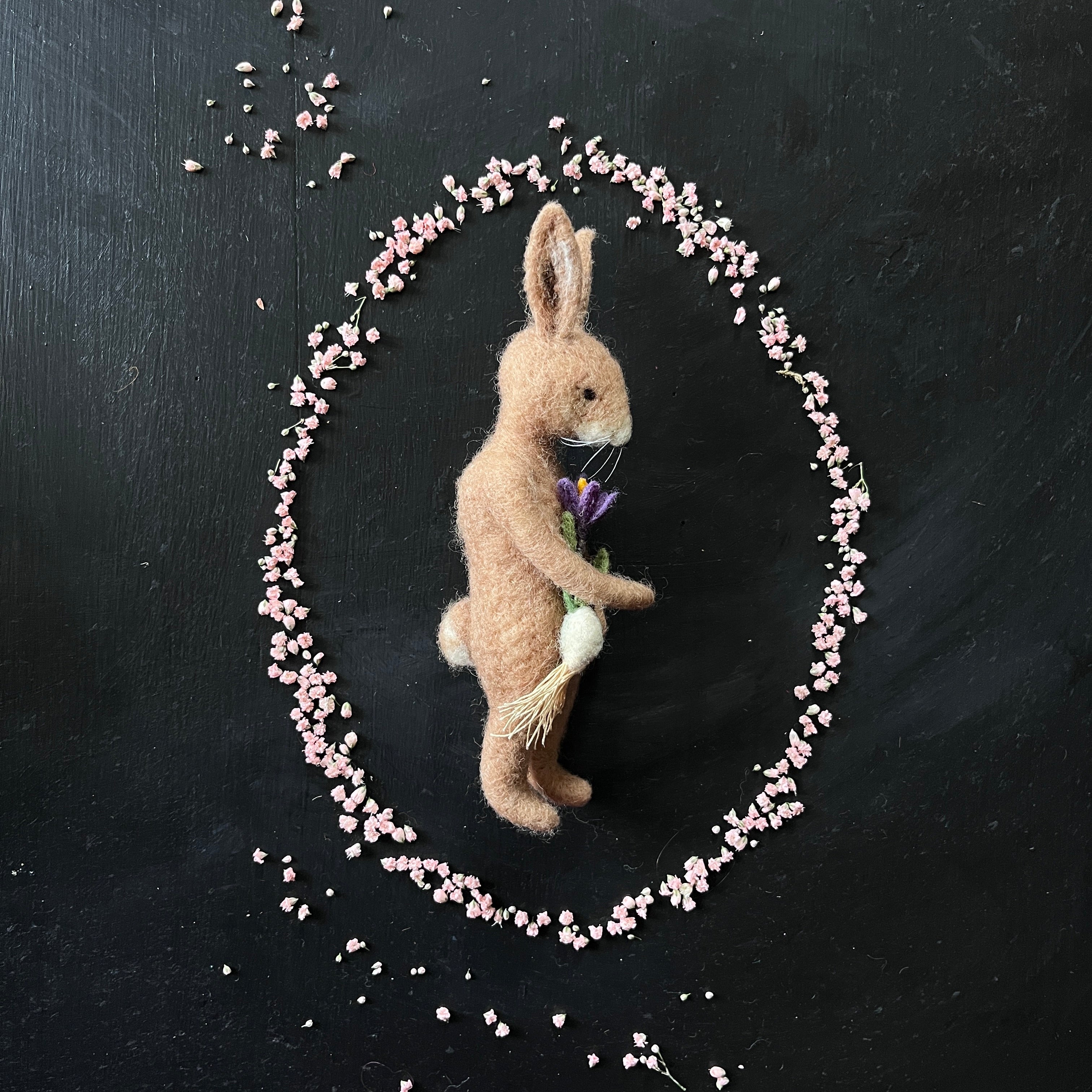 Mr. Rabbit mit Krokus