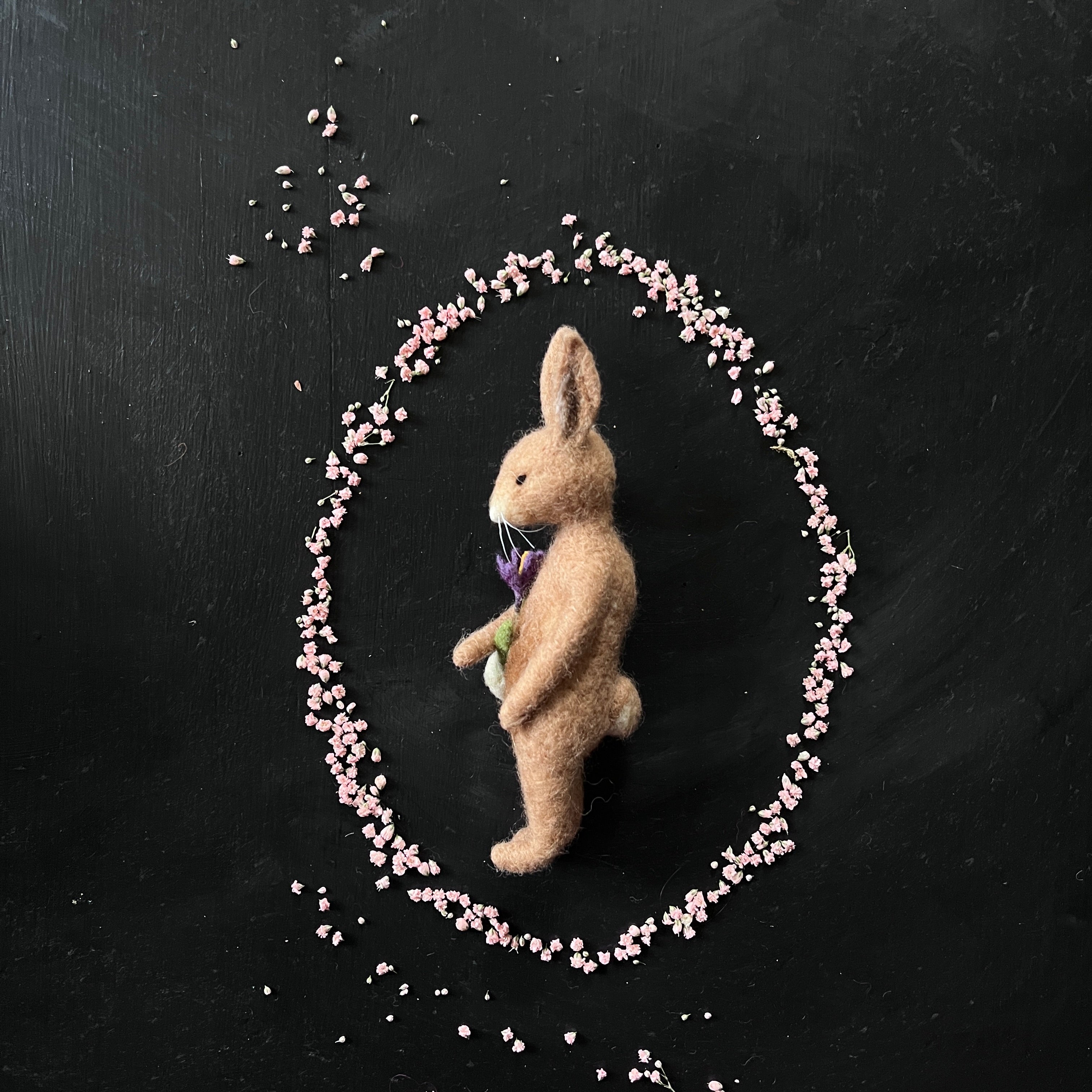 Mr. Rabbit mit Krokus