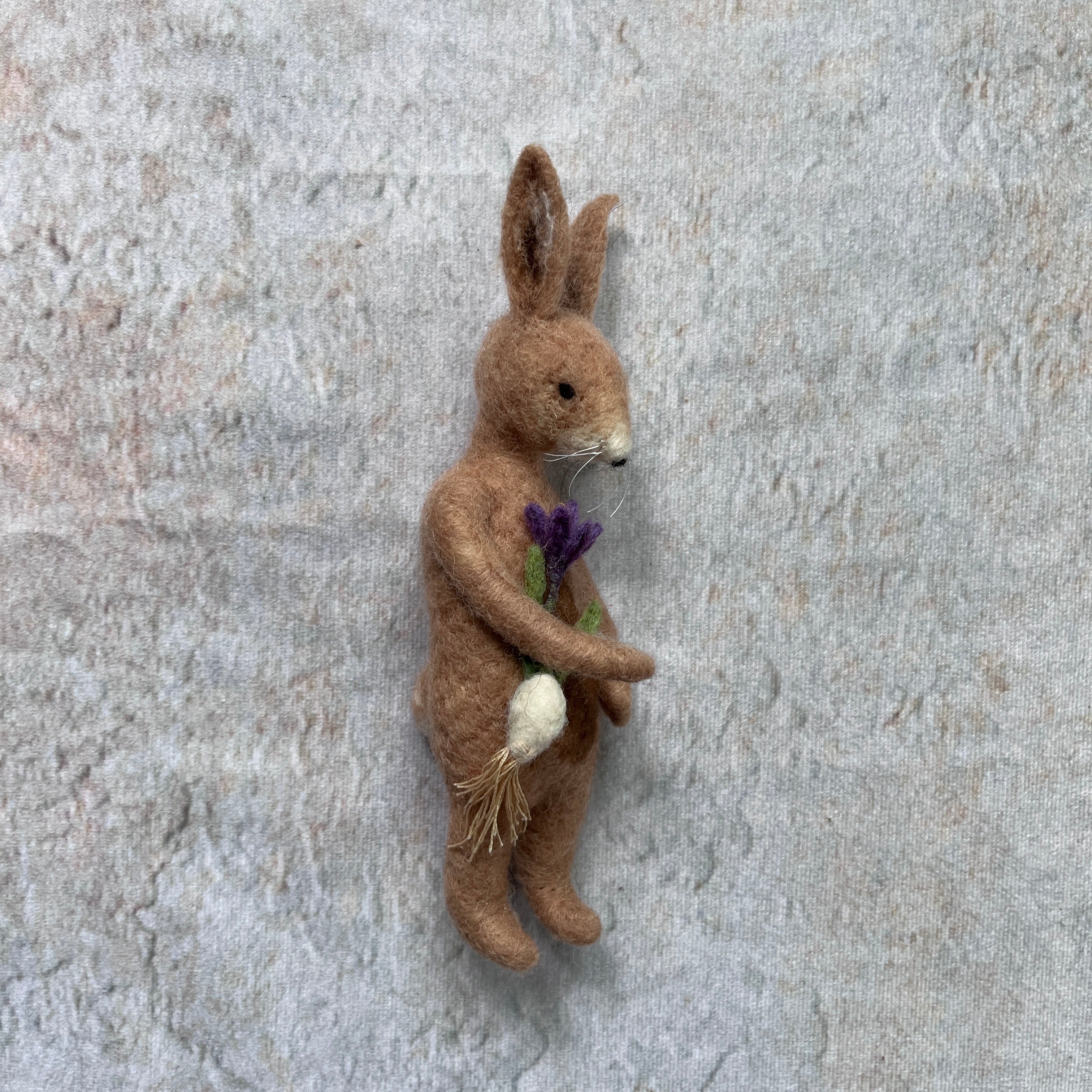 Mr. Rabbit mit Krokus