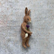 Mr. Rabbit mit Krokus