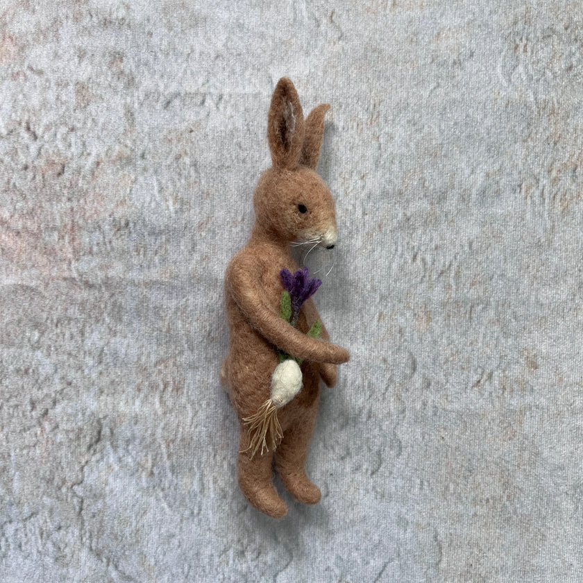 Mr. Rabbit mit Krokus