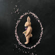 Mr. Rabbit mit Krokus