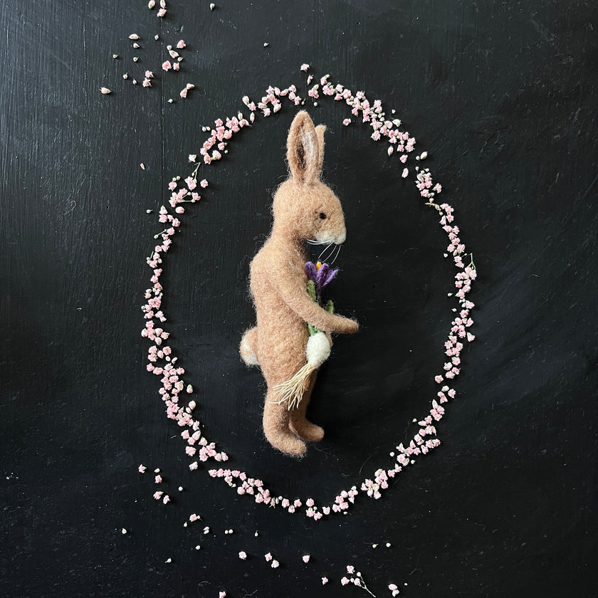 Mr. Rabbit mit Krokus
