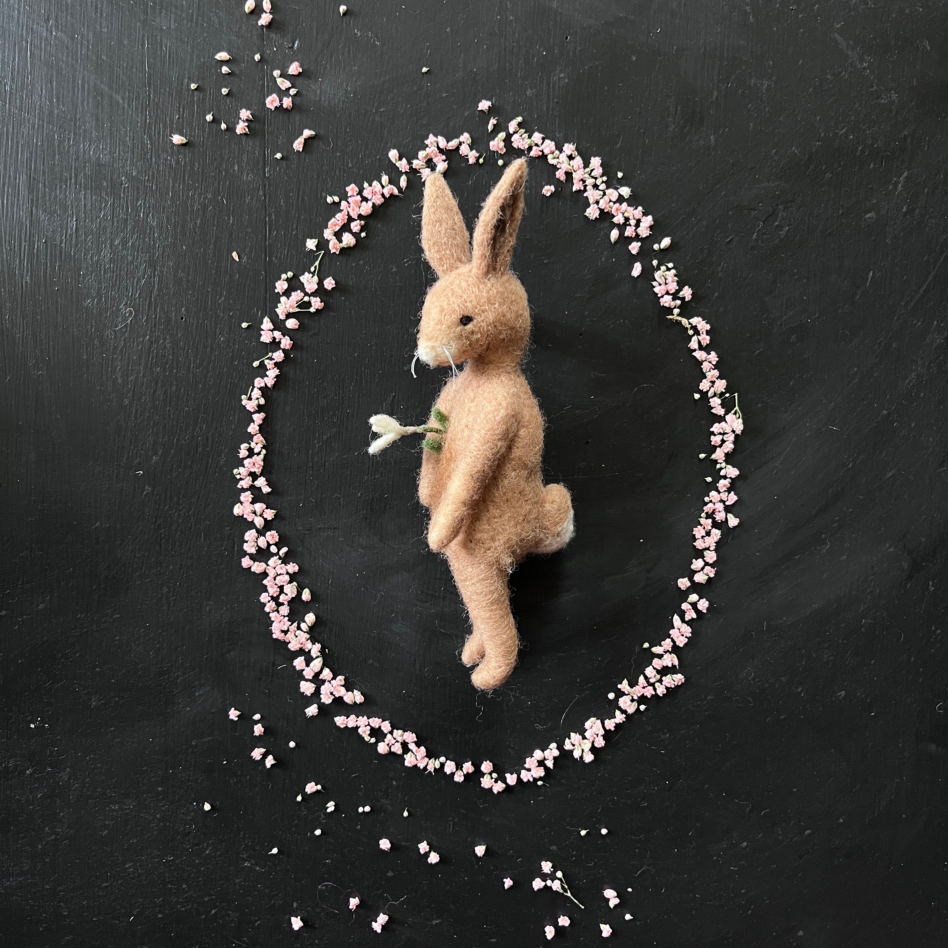 Mr. Rabbit mit Schneeglöckchen