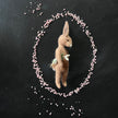 Mr. Rabbit mit Schneeglöckchen