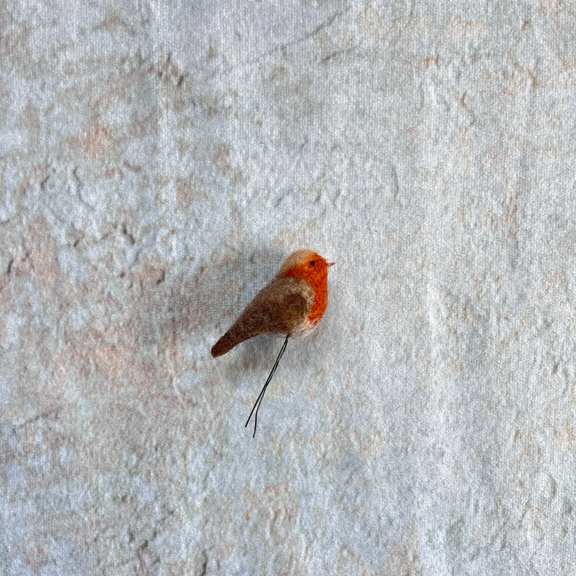Rotkehlchen mini