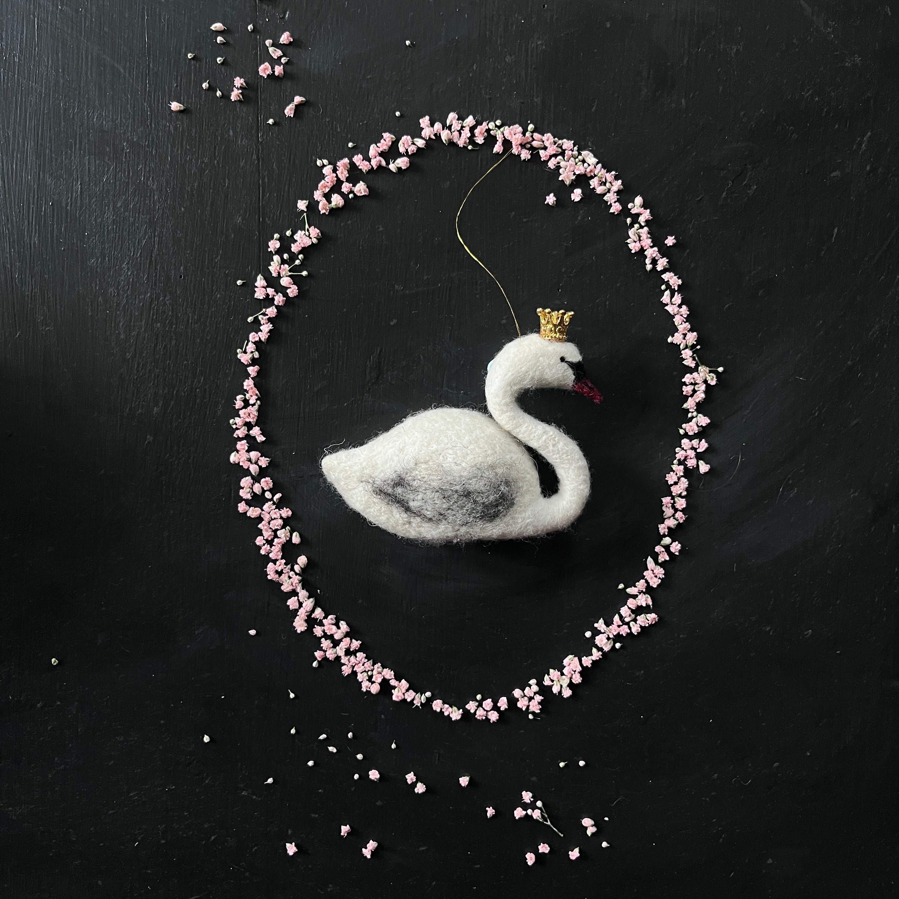 Schwan