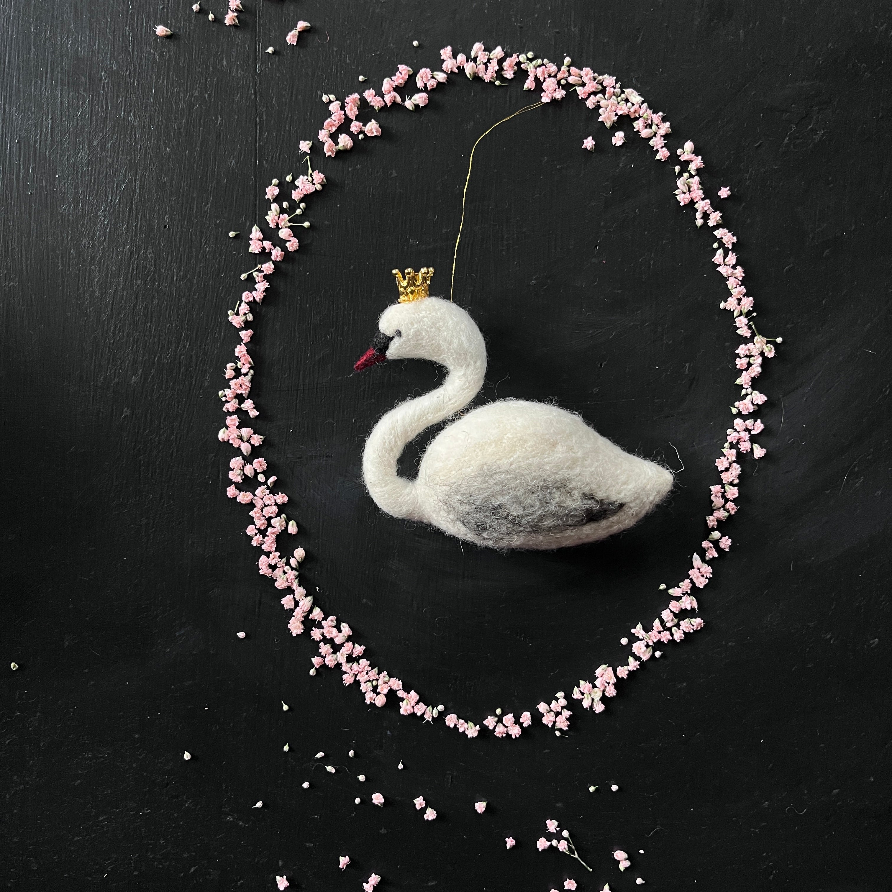 Schwan