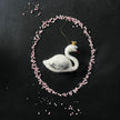 Schwan