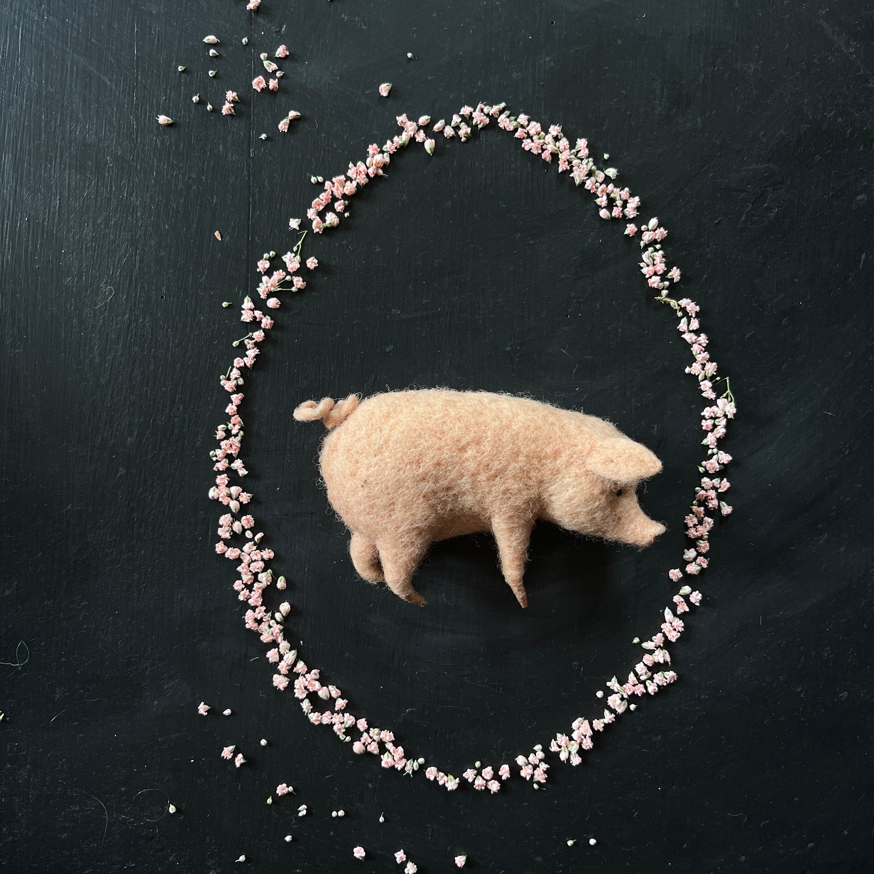 Schwein