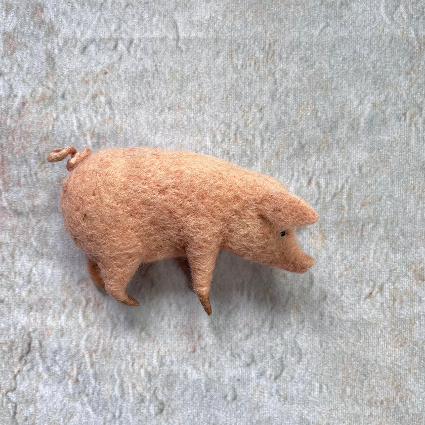 Schwein
