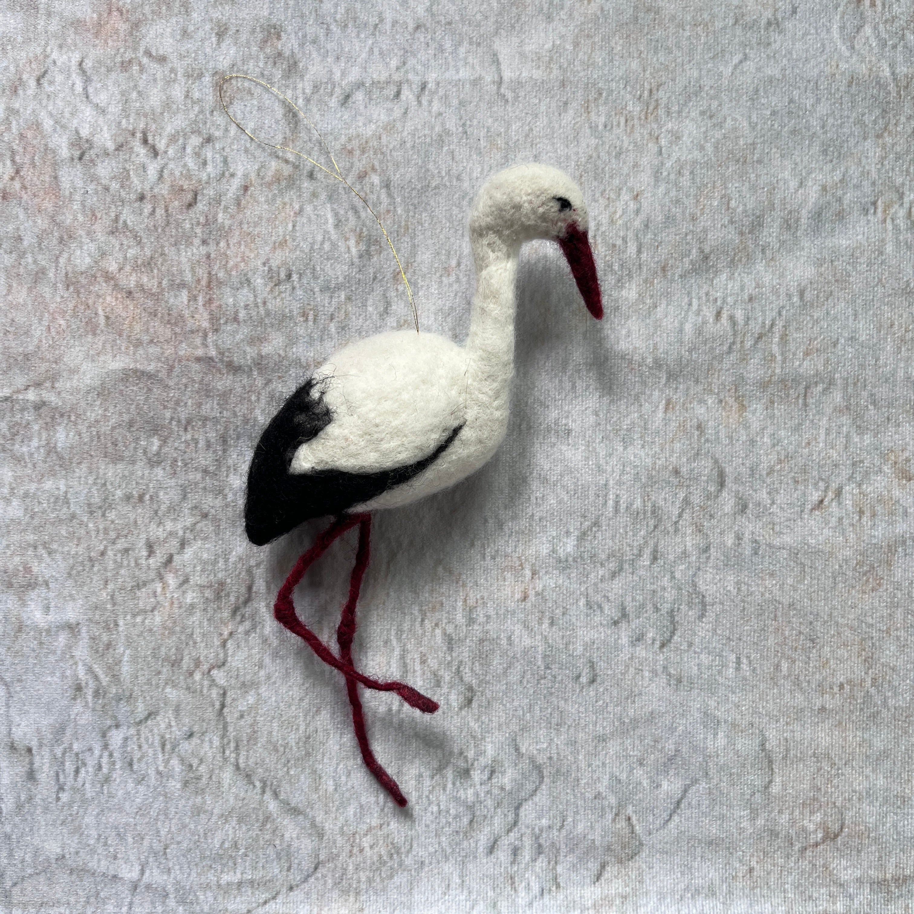 Storch