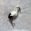 Storch